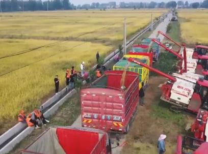 風吹田野豐收忙 各地秋收秋種工作有序推進