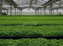 科企合作共同推進綠色增值肥料產(chǎn)業(yè)化