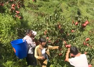 中國(guó)飯碗更“豐盛” 森林“糧庫”成名副其實(shí)的“鐵桿莊稼”“搖錢樹”
