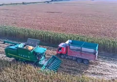 全國(guó)首個(gè)10萬畝集中連片玉米機(jī)械收獲“噸糧田”誕生