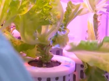 載人登月、載人登火星、環(huán)控生?！罩参镌耘噙€有大作為