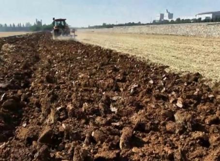 供銷系統(tǒng)全力保障“三秋”生產 做好秋冬種農資供應和化肥儲備