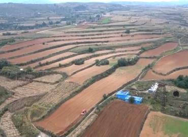 各地加緊秋糧收獲 有序推進秋冬種