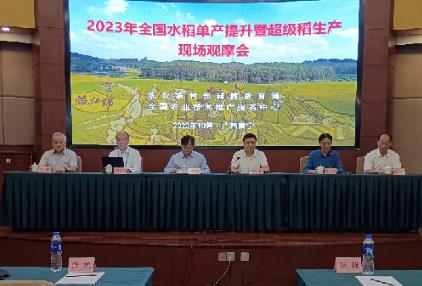 推進(jìn)超級稻技術(shù)集成推廣 助力水稻單產(chǎn)提升