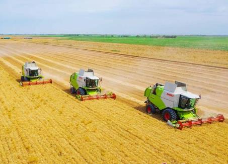 秋糧收獲接近尾聲 新疆全年糧食總產(chǎn)有望突破2000萬噸