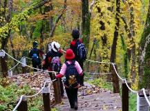 加強優(yōu)質旅游供給 推動秋季旅游持續(xù)升溫