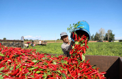 內蒙古突泉縣：開好方子找好路子 讓脫貧戶持續(xù)增收