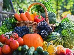 從“電商大促”看農(nóng)產(chǎn)品消費(fèi)新趨勢