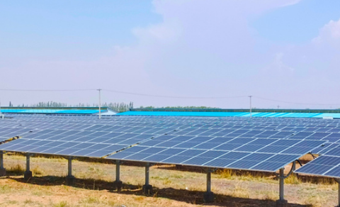 全國(guó)首個(gè)“鹽堿地改良+農(nóng)光互補(bǔ)”綜合示范項(xiàng)目并網(wǎng)