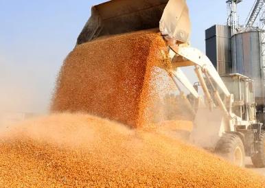 “耕”好節(jié)糧減損這塊“無形良田”