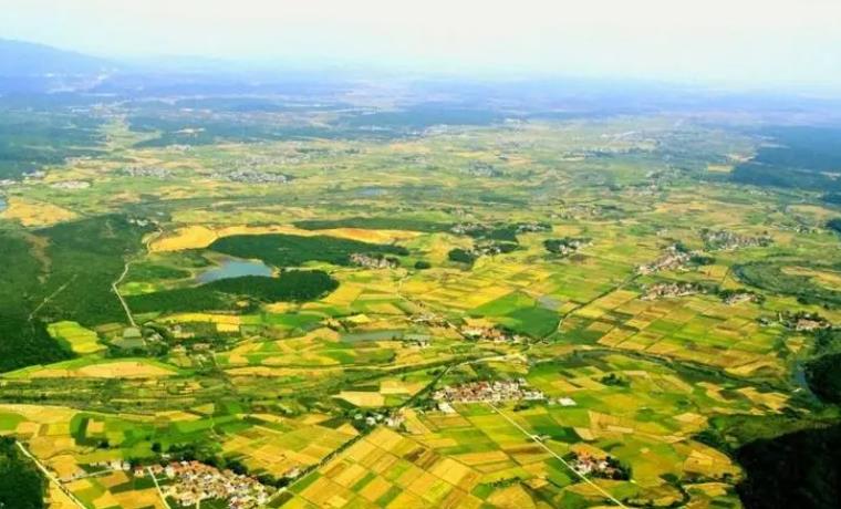 由大國(guó)邁進(jìn)強(qiáng)國(guó) 我國(guó)農(nóng)業(yè)正向著無人化、綠色可持續(xù)高質(zhì)量方向發(fā)展