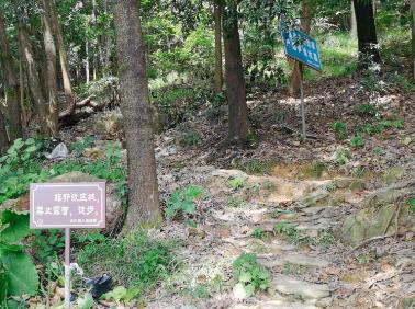 切實加強對“野景點”監(jiān)管