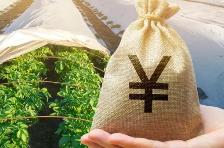 山西下達2024年銜接資金預(yù)算指標(biāo)43.92億元