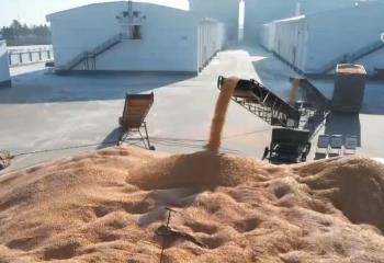 糧豐農(nóng)穩(wěn)，盛世和安！全年糧食產(chǎn)量再創(chuàng)歷史新高