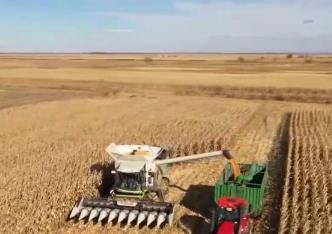 以豐補(bǔ)欠、以秋補(bǔ)夏 “豐收密碼”筑牢大國(guó)糧倉(cāng)安全根基