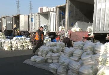 居民冬季“菜籃子”貨足、價(jià)穩(wěn)、質(zhì)優(yōu) 拎出滿滿幸福感