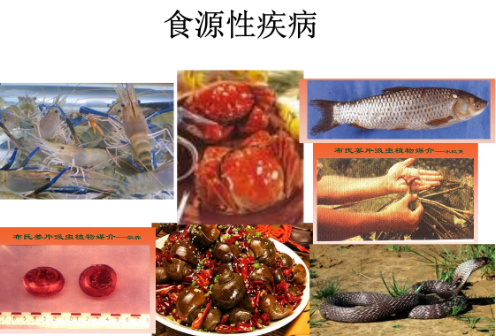 我國食源性疾病暴發(fā)事件數量下降11%