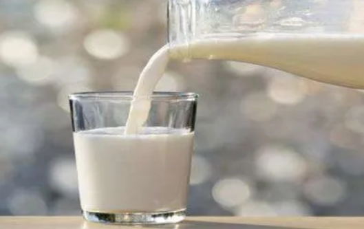 廣西南寧：著力提升 “中國(guó)水牛乳之都”美譽(yù)度和影響力