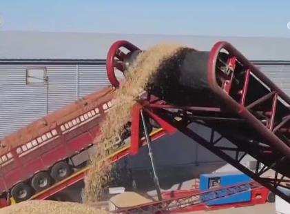 秋糧收購(gòu)超一億噸 收購(gòu)進(jìn)度過半