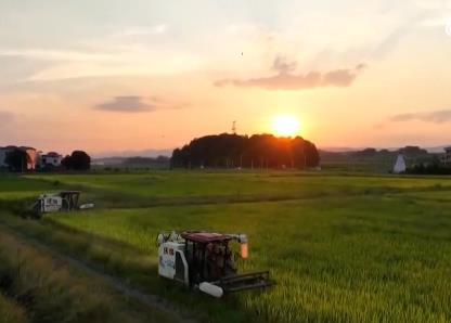 我國(guó)確定2024年糧食生產(chǎn)總體目標(biāo)