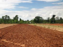 第三次全國(guó)土壤普查高質(zhì)高效推進(jìn)