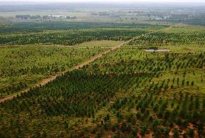 內(nèi)蒙古“綠色版圖”不斷擴大