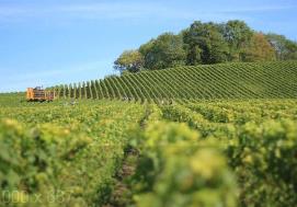 國(guó)家級(jí)生態(tài)農(nóng)場(chǎng)新增345家