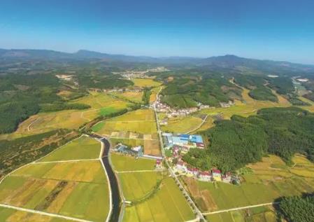 辦好“頭等大事”，端牢“福建飯碗”