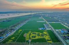 水利部公布第一批通過水利部標準化管理評價的大中型灌區(qū)、灌排泵站名單