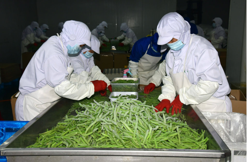 延長產(chǎn)業(yè)鏈！黑龍江農(nóng)產(chǎn)品加工業(yè)有了新變化