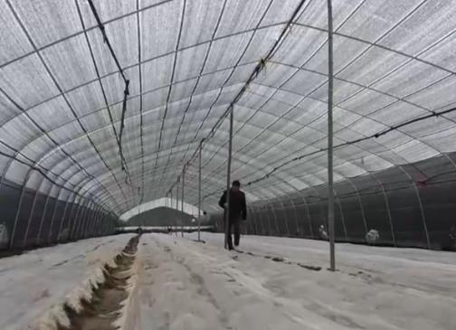 高標(biāo)準(zhǔn)、新模式、巧育種 各地多舉措助增收繪出“新豐景”