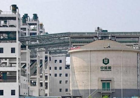 我國(guó)中央儲(chǔ)備糧監(jiān)管智能化全面提速