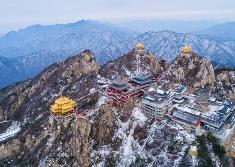 河南文旅火爆出圈，北京、上海赴豫旅游訂單排名靠前