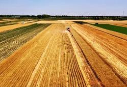 河南安排部署“三農(nóng)”領(lǐng)域近期重點工作