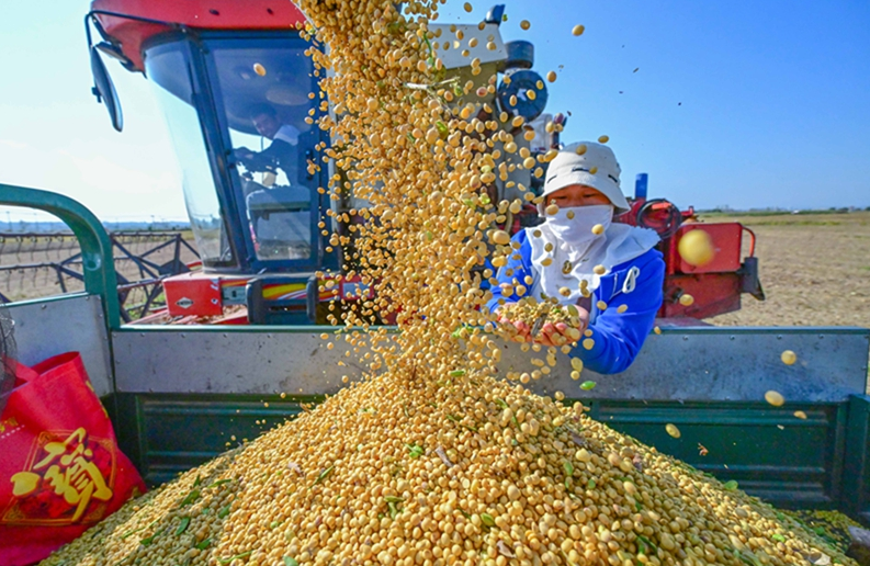 繪就宜居宜業(yè)和美鄉(xiāng)村新畫卷——中央一號文件釋放有力有效推進鄉(xiāng)村全面振興信號