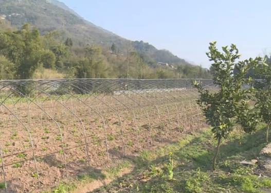 各地按下春耕備耕“快進鍵” 為新春糧食生產(chǎn)起好步、開好頭