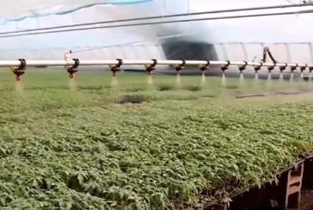 春耕農(nóng)事忙、農(nóng)資有保障 守穩(wěn)百姓“糧袋子”“菜籃子”“果盤(pán)子”