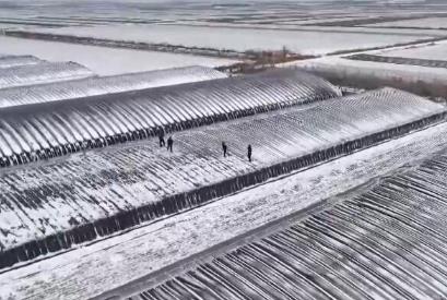 向雪而行！科技小分隊(duì)守護(hù)“大國(guó)糧倉(cāng)” 護(hù)航農(nóng)業(yè)生產(chǎn)