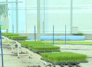 南方早稻開(kāi)始育秧 科技助力備春耕