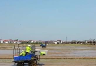 一“增”一“減”促增收 整合資源要素保障農(nóng)民種糧有錢(qián)賺