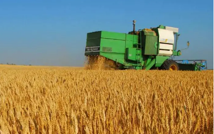 2024年新疆糧食生產(chǎn)目標(biāo)再增100萬(wàn)噸 總產(chǎn)不低于2200萬(wàn)噸