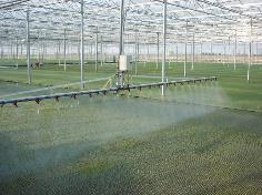 我國設(shè)施種植機(jī)械化邁入加快發(fā)展新階段