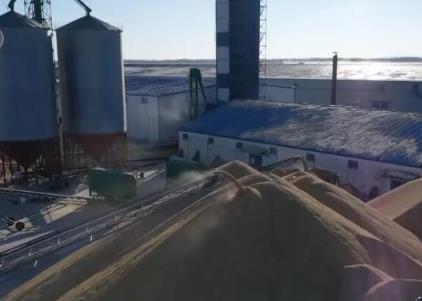 科技加持糧食“購銷和儲備”各環(huán)節(jié) 人機(jī)協(xié)同“大數(shù)據(jù)”管糧