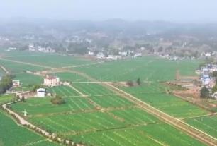 春耕春播正當(dāng)時 讓沃野“長”出高質(zhì)量