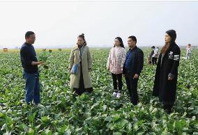 山西省累計培育940名鄉(xiāng)村產業(yè)振興帶頭人