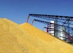 福建：深化拓展“三爭(zhēng)”行動(dòng)  持續(xù)推進(jìn)全省糧儲(chǔ)系統(tǒng)“三大提升行動(dòng)”