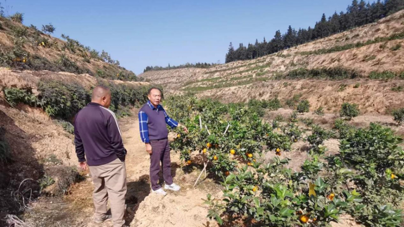 鄉(xiāng)村振興幫扶人 致力幸福振興路