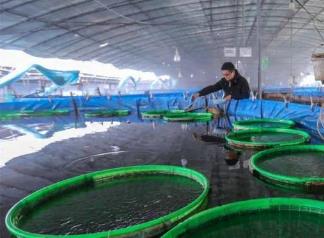 山西運城探索“南魚北養(yǎng)”