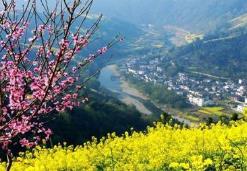 春季旅游市場亮點(diǎn)：超千款賞花錯(cuò)峰游產(chǎn)品上線