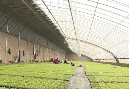 一年好景在春耕 各地萬象“耕”新繪就生機勃勃的農(nóng)事圖景